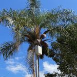 Prefeitura de Alagoa instala câmeras de vídeo para monitoramento e maior segurança